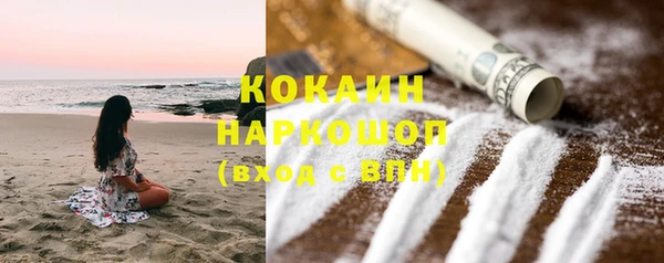 индика Зеленокумск