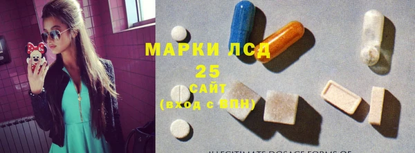 индика Зеленокумск