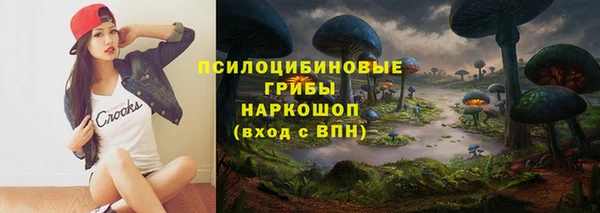 индика Зеленокумск
