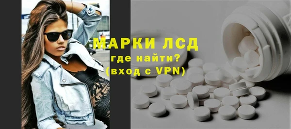 индика Зеленокумск