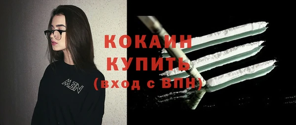 индика Зеленокумск