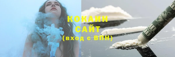 индика Зеленокумск