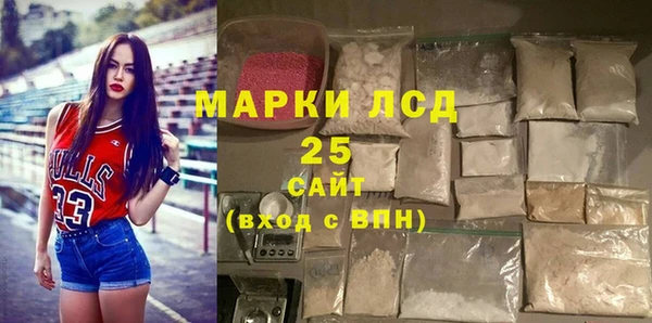 индика Зеленокумск