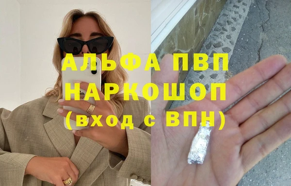 индика Зеленокумск
