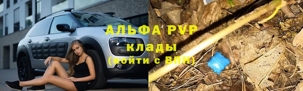 индика Зеленокумск