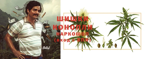индика Зеленокумск